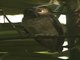 Image from 2016-03-03