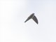 Image from 2016-03-04
