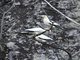 Image from 2016-03-04