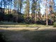 Camping spot in the Ventana Wilderness