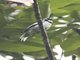 Image from 2016-03-08