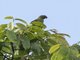 Image from 2016-03-08