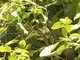 Image from 2016-03-08