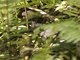 Image from 2016-03-08