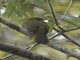 Image from 2016-03-08