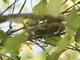 Image from 2016-03-11