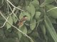 Image from 2016-03-11