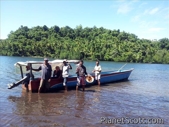 Weda Mangrove