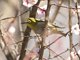 Image from 2016-02-24