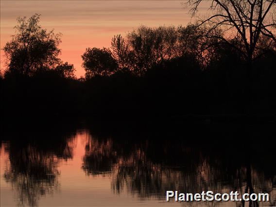 Sunset - Pratt Wayne Woods