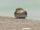 Image from 2016-05-06