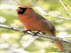Image from 2016-05-06