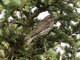 Image from 2016-07-09