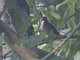 Image from 2013-02-16