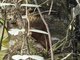 Image from 2016-08-31
