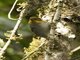 Image from 2016-08-31