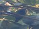 Image from 2016-09-01