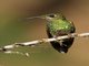 Image from 2016-09-01