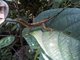 Image from 2016-09-01