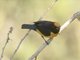 Image from 2016-09-01