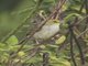 Image from 2016-09-02