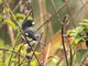Image from 2016-09-02