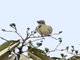Image from 2016-09-02