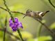 Image from 2016-09-02