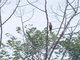 Image from 2016-09-03