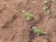 Image from 2016-09-03