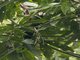 Image from 2016-09-03