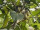 Image from 2016-09-03