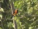 Image from 2016-09-03