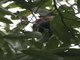 Image from 2016-09-03