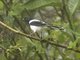 Image from 2016-09-04