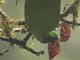 Image from 2016-09-04