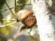 Image from 2016-09-01