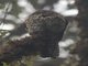 Image from 2016-09-04