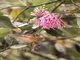 Image from 2016-09-04