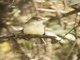 Image from 2016-09-04