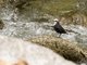 Image from 2016-09-06
