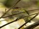 Image from 2016-09-06