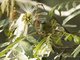 Image from 2016-09-06