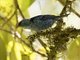 Image from 2016-09-06