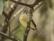 Image from 2016-09-06