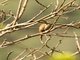 Image from 2016-09-06
