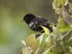 Image from 2016-09-06