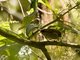 Image from 2016-09-06