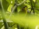 Image from 2016-09-06