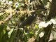 Image from 2016-09-06